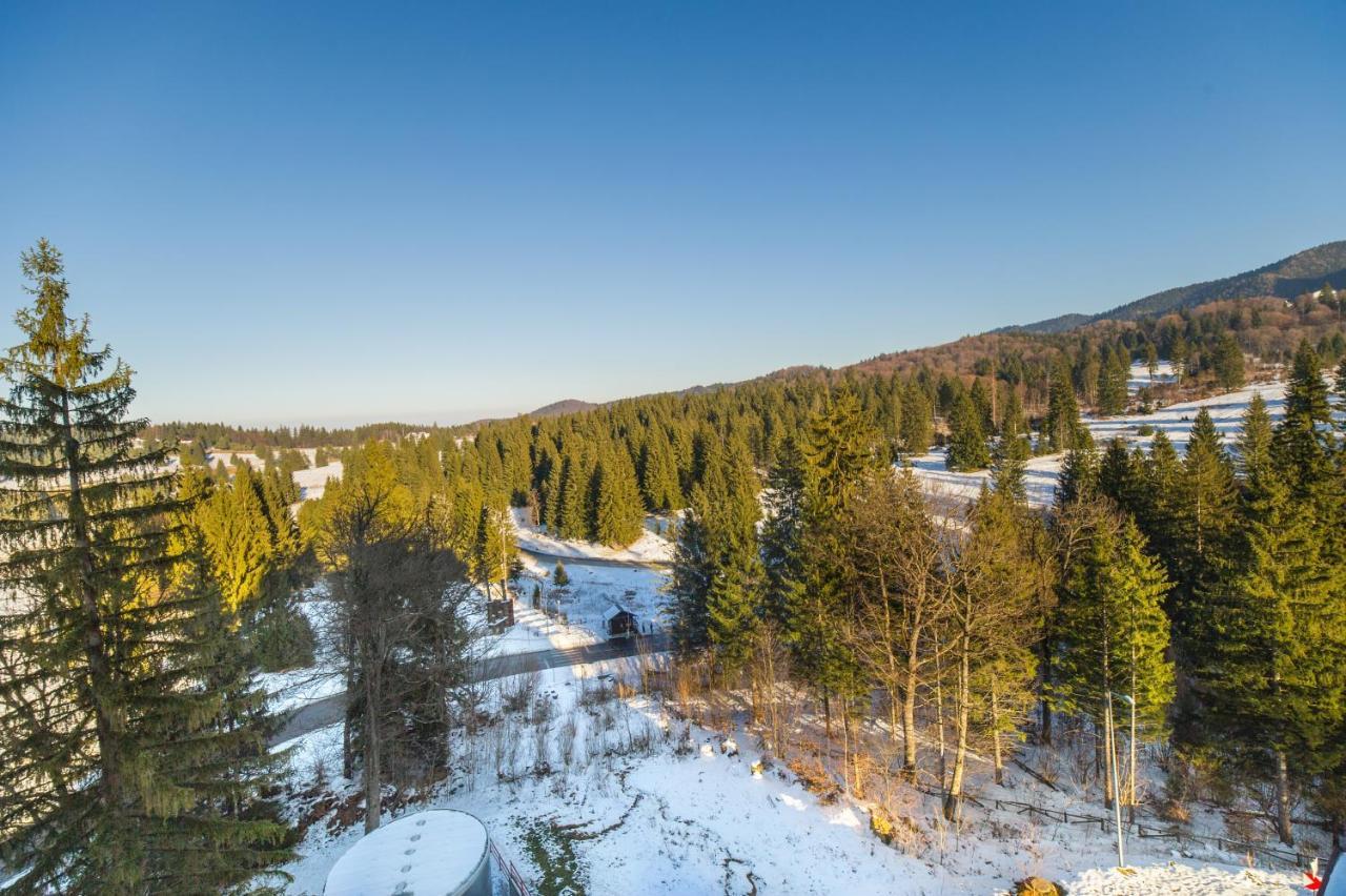 Forest Corner In Silver Mountain Of Poiana Brasov Exterior foto