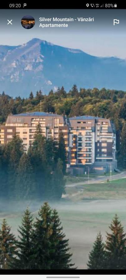 Forest Corner In Silver Mountain Of Poiana Brasov Exterior foto