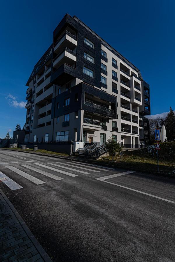 Forest Corner In Silver Mountain Of Poiana Brasov Exterior foto