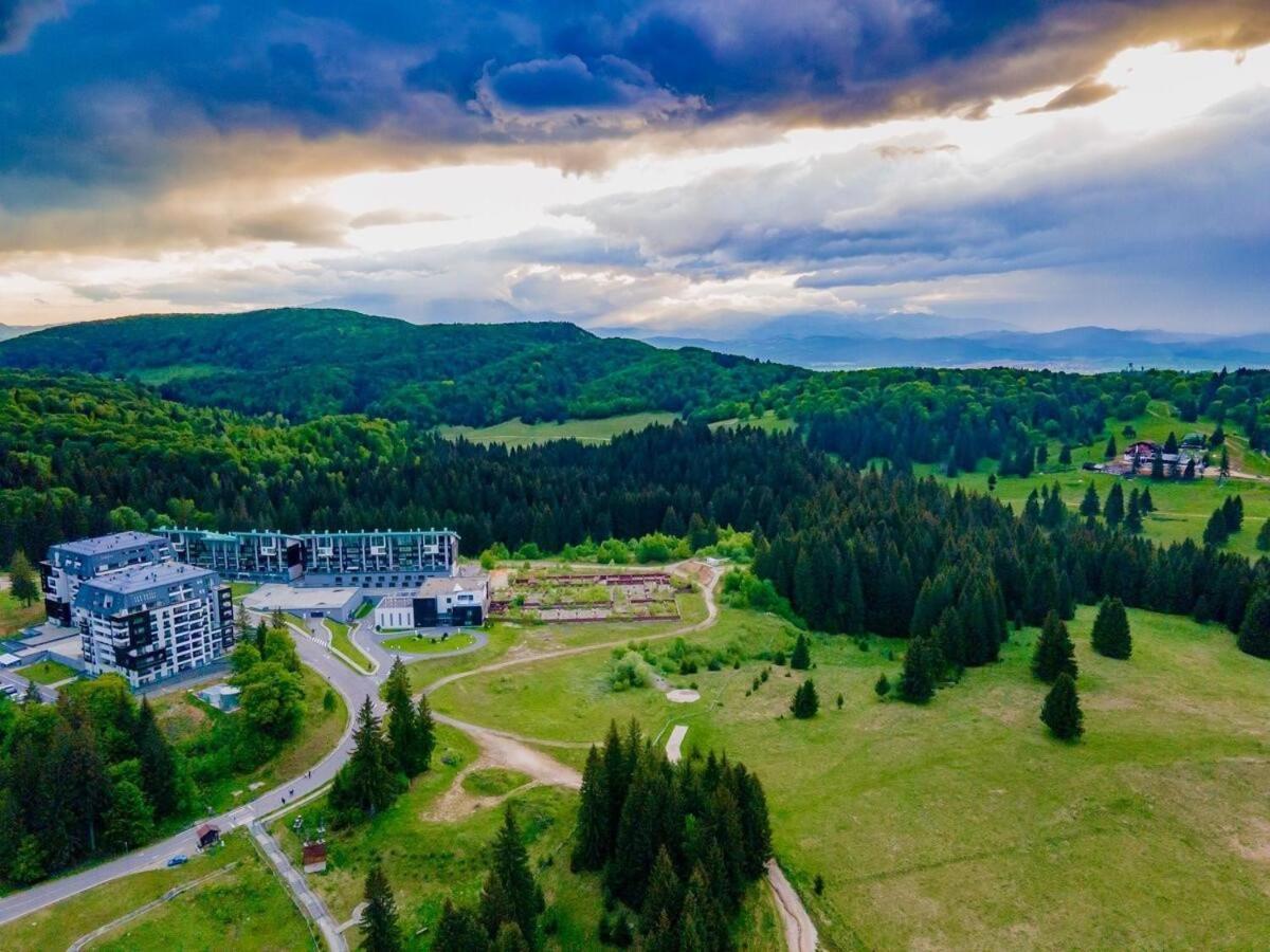 Forest Corner In Silver Mountain Of Poiana Brasov Exterior foto