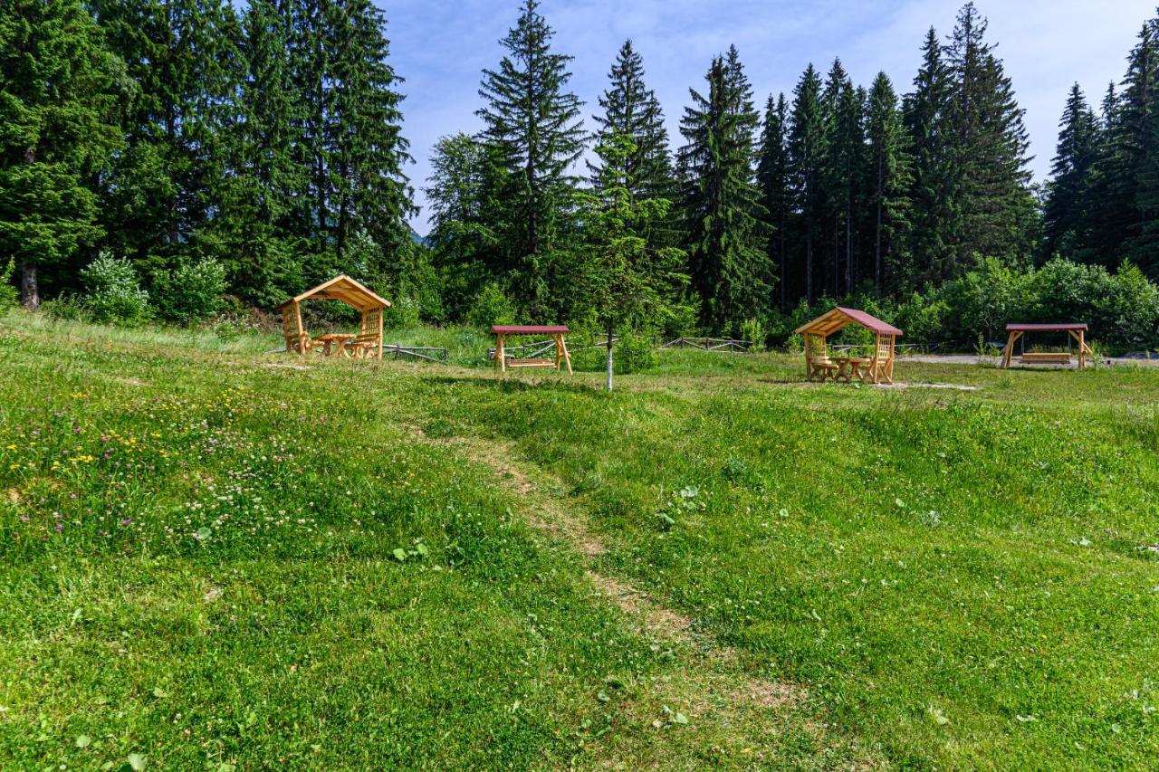 Forest Corner In Silver Mountain Of Poiana Brasov Exterior foto